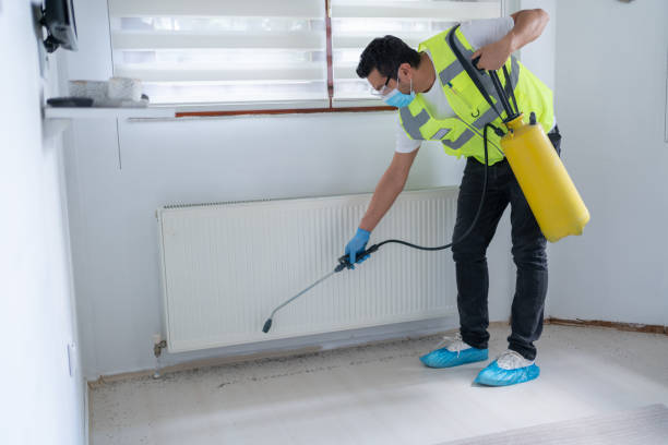 Best Pest Exclusion Services  in Whetstone, AZ